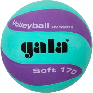 Мяч волейбольный Gala Soft 170 №5 Green-Purple (BV5681SCF) в Чернигове