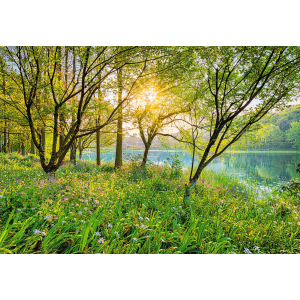 Фотообои бумажные Komar Spring Lake (Весеннее озеро NG) 368х254 см (8-524) лучшая модель в Чернигове