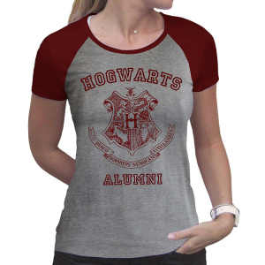 Футболка ABYstyle Harry Potter XL Сіра (ABYTEX503XL) ТОП в Чернігові