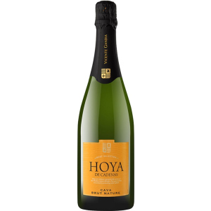 Вино игристое Hoya de Cadenas Cava Brut Nature белое брют 0.75 л 11.5% (8410310605994) лучшая модель в Чернигове