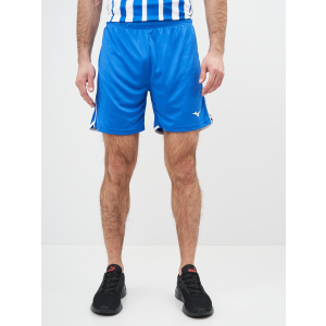 Спортивні шорти Mizuno High-Kyu Short V2EB700122 L (5054698344941) в Чернігові