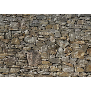 Фотошпалери флізелінові Komar Stone Wall (Кам'яна стіна) 368х254 см 8 сегментів (8NW-727) ТОП в Чернігові