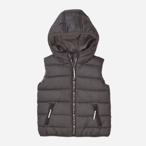 Жилет Minoti 7BGILET 9 34601JNR 110-116 см Темно-серый (5059030593988) в Чернигове