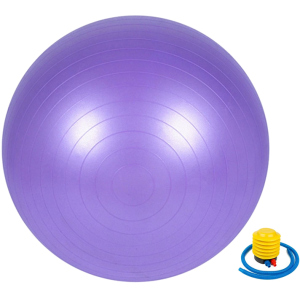 М'яч для фітнесу Newt 65 см Фіолетовий (487-626-1-V) в Чернігові