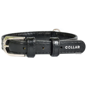 Ошейник для собак кожаный Collar WAUDOG Glamour с QR паспортом, без украшений, S, Ш 20 мм, Дл 30-39 см (32931) ТОП в Чернигове