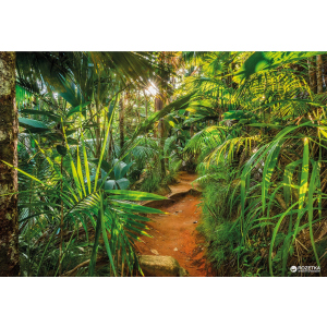 Фотообои бумажные Komar Jungle Trail 368х254 см 8 сегментов (8-989) в Чернигове