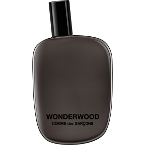 Тестер Парфюмированная вода унисекс Comme Des Garcons Wonderwood 100 мл (8411061707838) лучшая модель в Чернигове