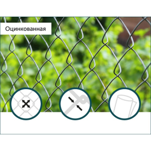 Сітка Рабиця оцинкована Сітка Захід 60х60/3,0мм 1,5м/10м в Чернігові